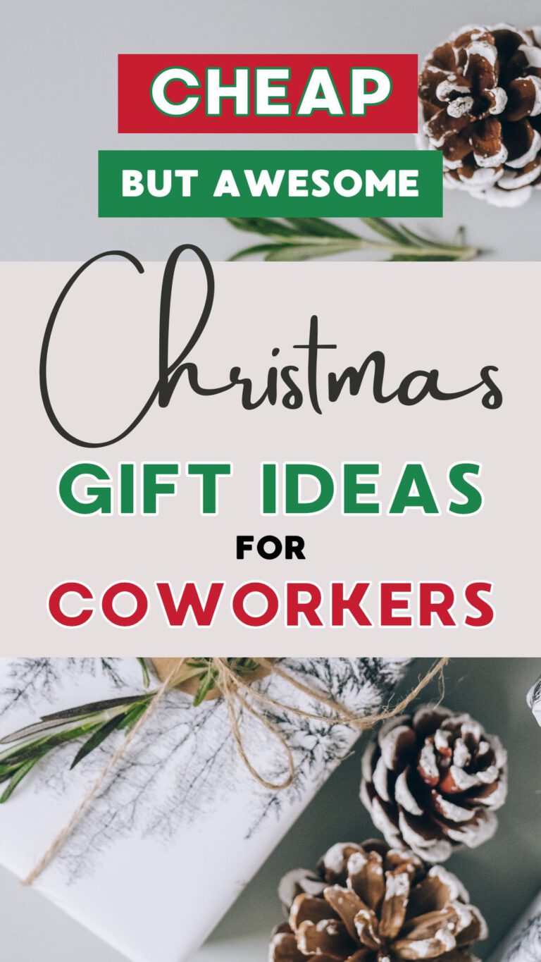 Cheap but Awesome Christmas Gift Ideas for Coworkers